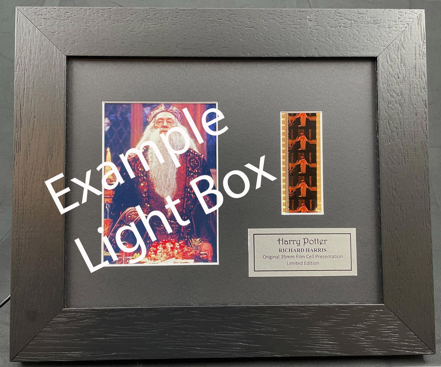 GODZILLA of 1998 Original 35mm Film Cells set in Quality Wood Frame + COA