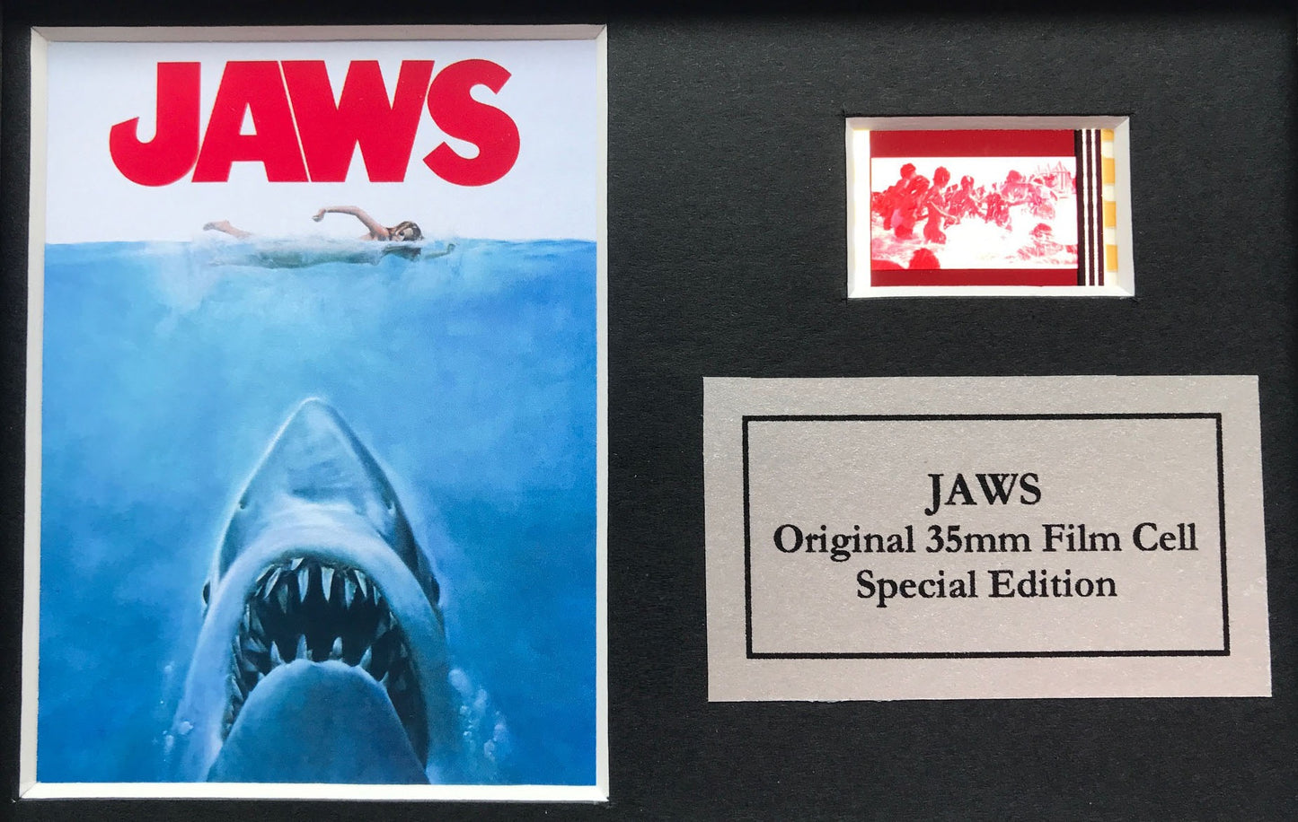 JAWS Hand crafted display featuring Original Mini 35mm film cells + COA