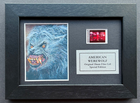 AMERICAN WEREWOLF in LONDON Original Mini 35mm film Cell Memorabilia + COA