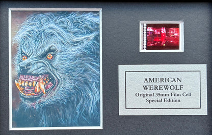 AMERICAN WEREWOLF in LONDON Original Mini 35mm film Cell Memorabilia + COA