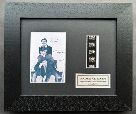 THE MARX BROTHERS Original 35mm Film Cells set in Quality Wood Frame + COA