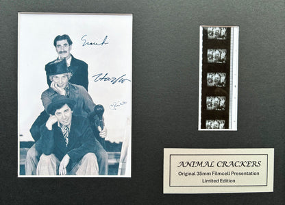 THE MARX BROTHERS Original 35mm Film Cells set in Quality Wood Frame + COA