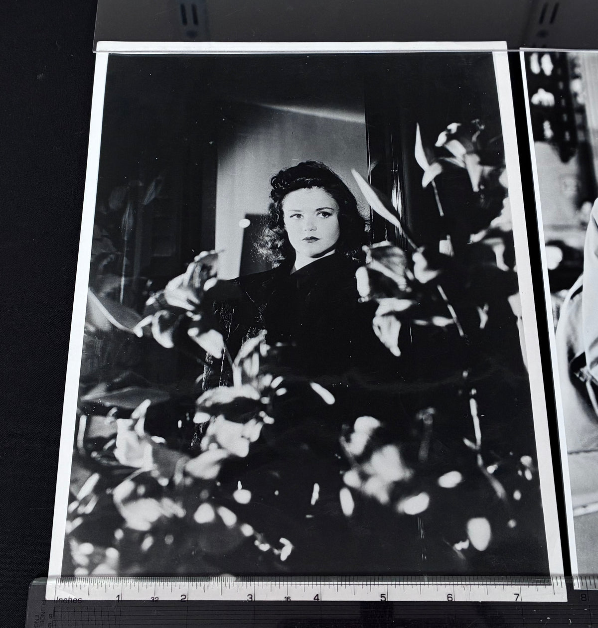 Original Black & White Stills for CAT PEOPLE of 1942 (Simone Simon & Kent Smith)